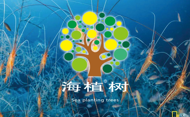 专注农化，以农为需